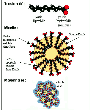 La physique en questions (de Jean-Marc Lévy-Leblond) Micelle